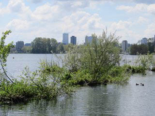 Kralingse Plas, Rotterdam