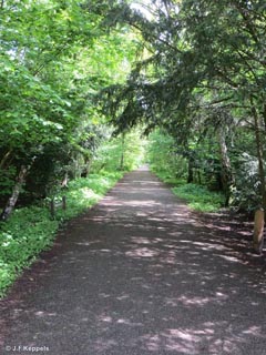 Kralingse Bos, Rotterdam