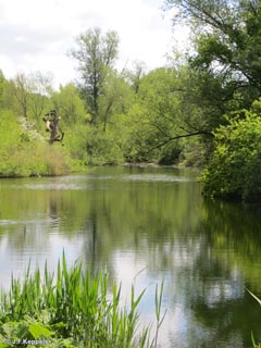 Kralingen Forest, Rotterdam