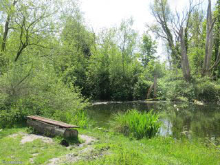 Kralingen Park, Rotterdam