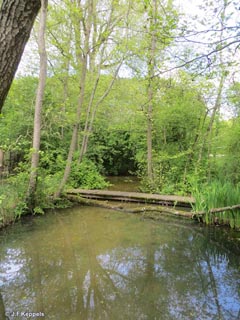 Kralingse Plas, Rotterdam